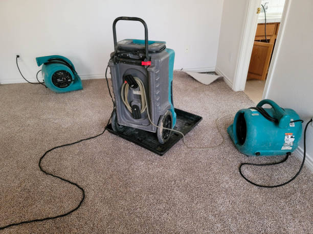 Best Flooded house restoration  in Buckner, KY