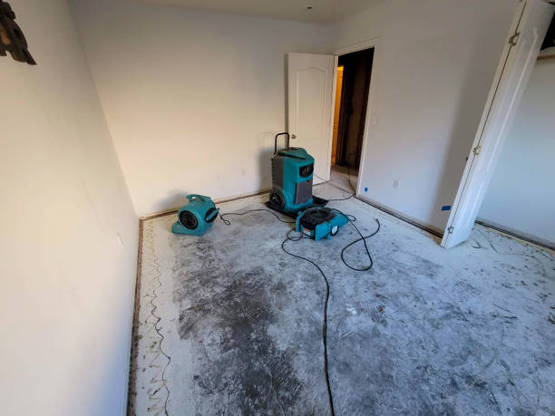 Best Residential water damage restoration  in Buckner, KY