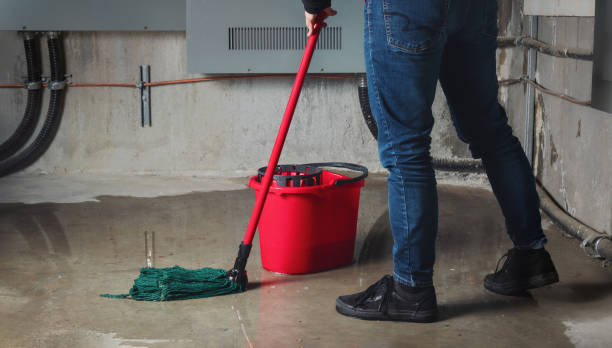 Best Water damage restoration mold remediation  in Buckner, KY