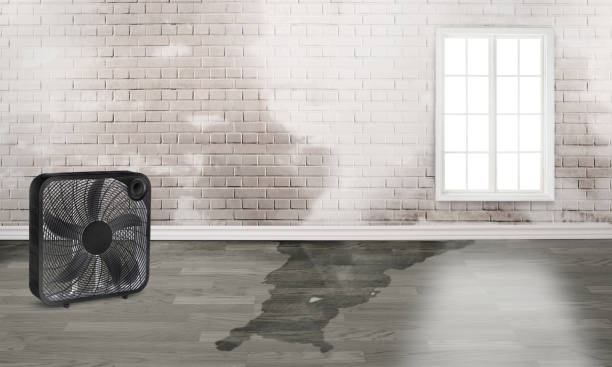Buckner, KY Water damage restoration Company