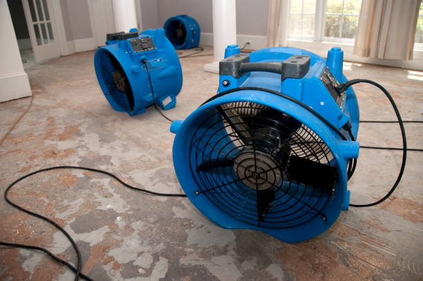 Best Basement water damage restoration  in Buckner, KY
