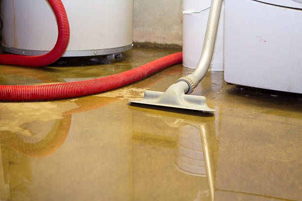 Best Water damage restoration insurance claims  in Buckner, KY