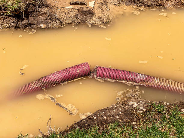 Best Water damage restoration process  in Buckner, KY